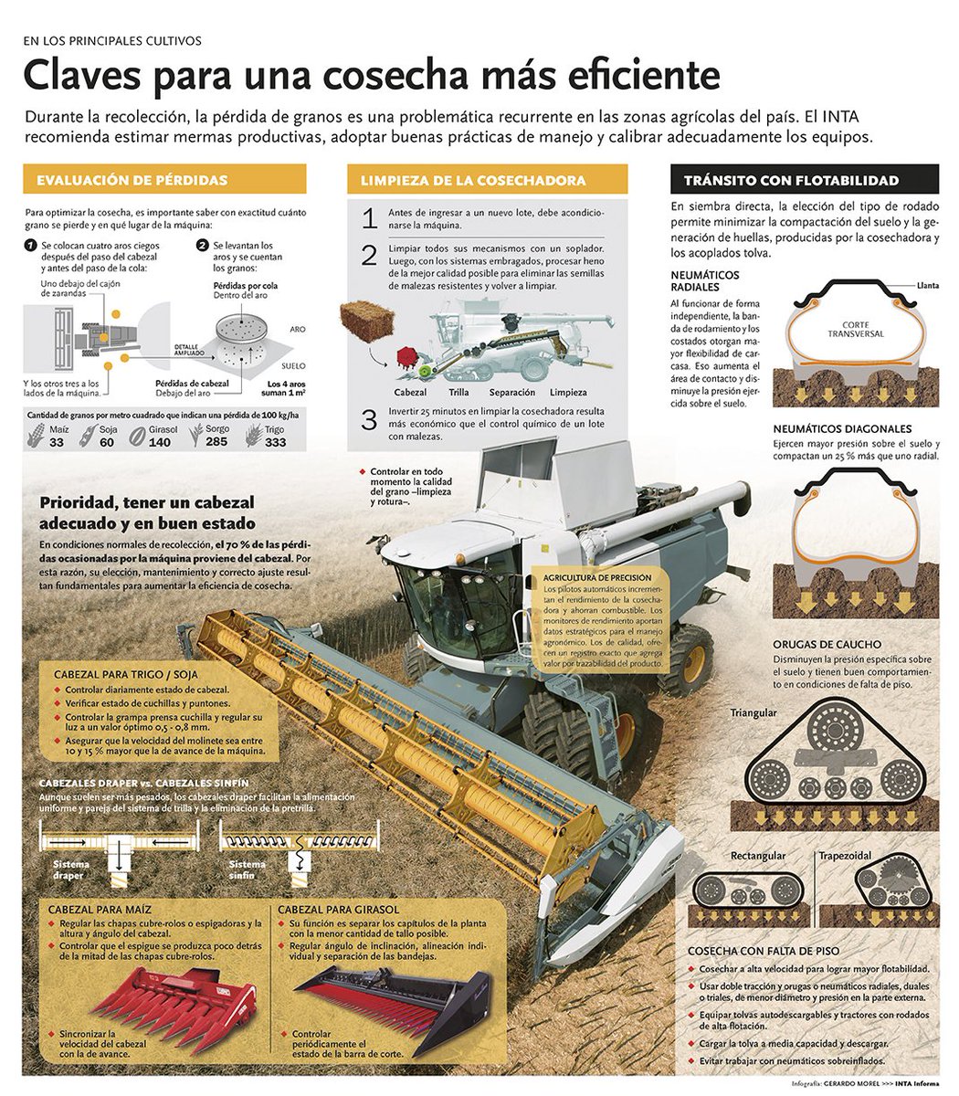 INTA Informa tweet media