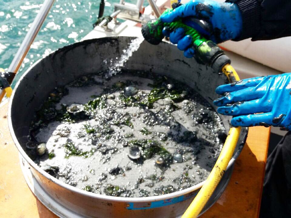 Southern IFCA tweet media