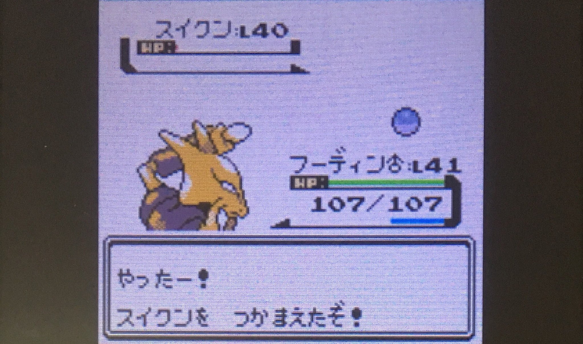 エルザ 色違いスイクンきたぁああああああああああああああああああああああああああああああああああああああああああああああああああああああああああああああああああああああああああああああああああああああああああああああああああああああ