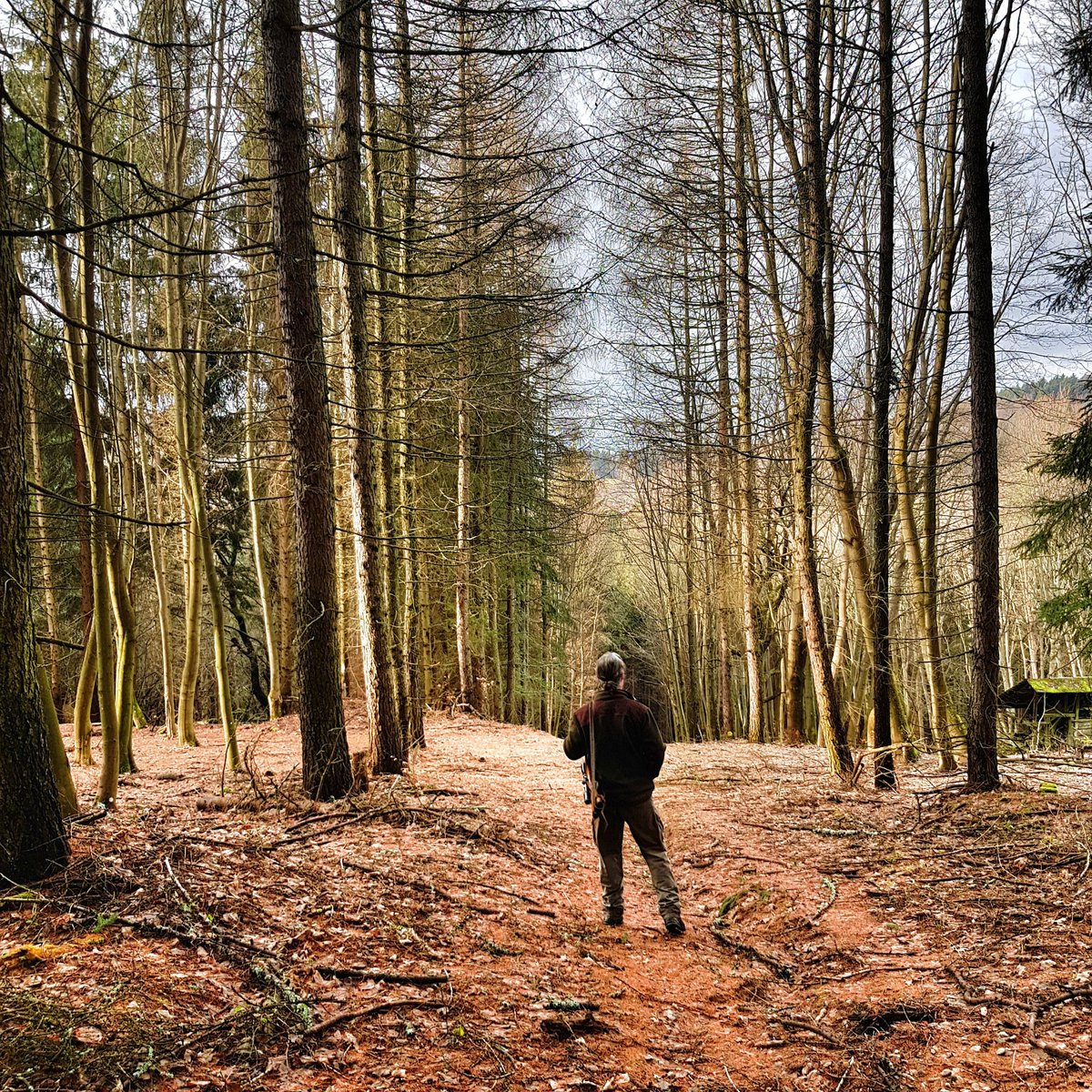 Hunting with Slovakia's greatest