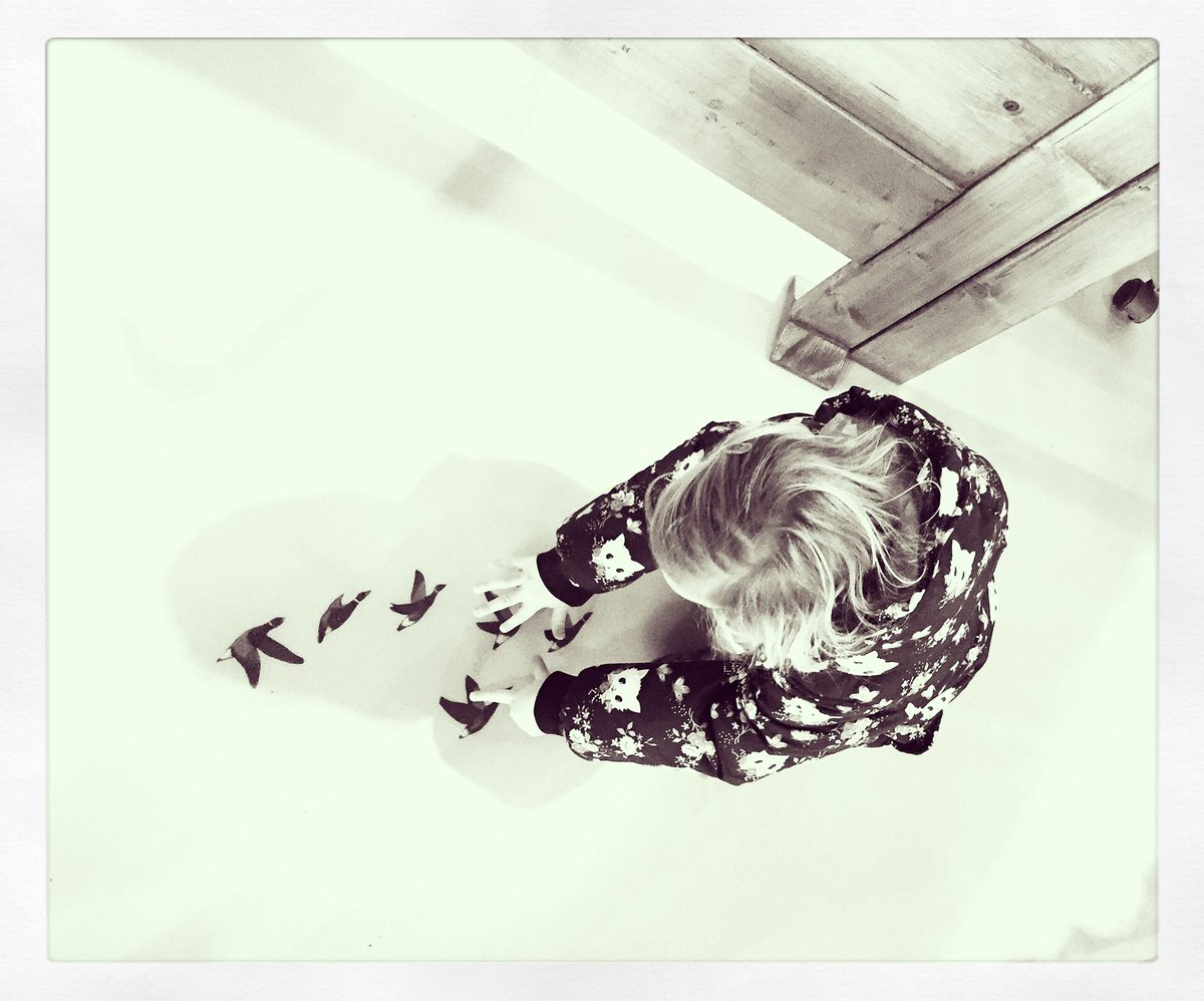 SjDepp's tweet image. Artviewer, de nieuwe beschilderde vloer door Monique Dozy in de Helderse Vallei....Cato vindt het prachtig!