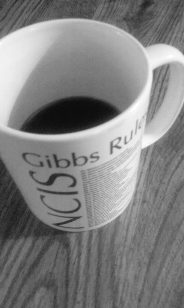 WittyUserName's tweet photo. 2 ways to follow someone. 1st way they never notice you. 2nd way they only notice you. #NCIS #GibbsRules #Rule27 https://t.co/FPCsyt1rKL