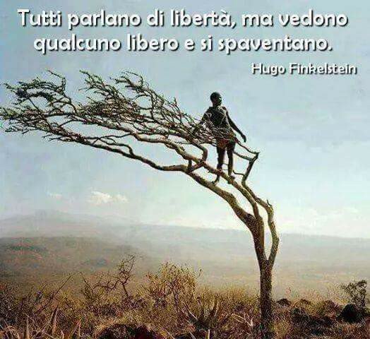 SapereeunDovere tweet picture