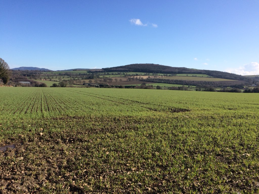 Garden of Ireland...what a view🌞#Oats #Wicklow #spring #Scenery @GlanbiaAgri