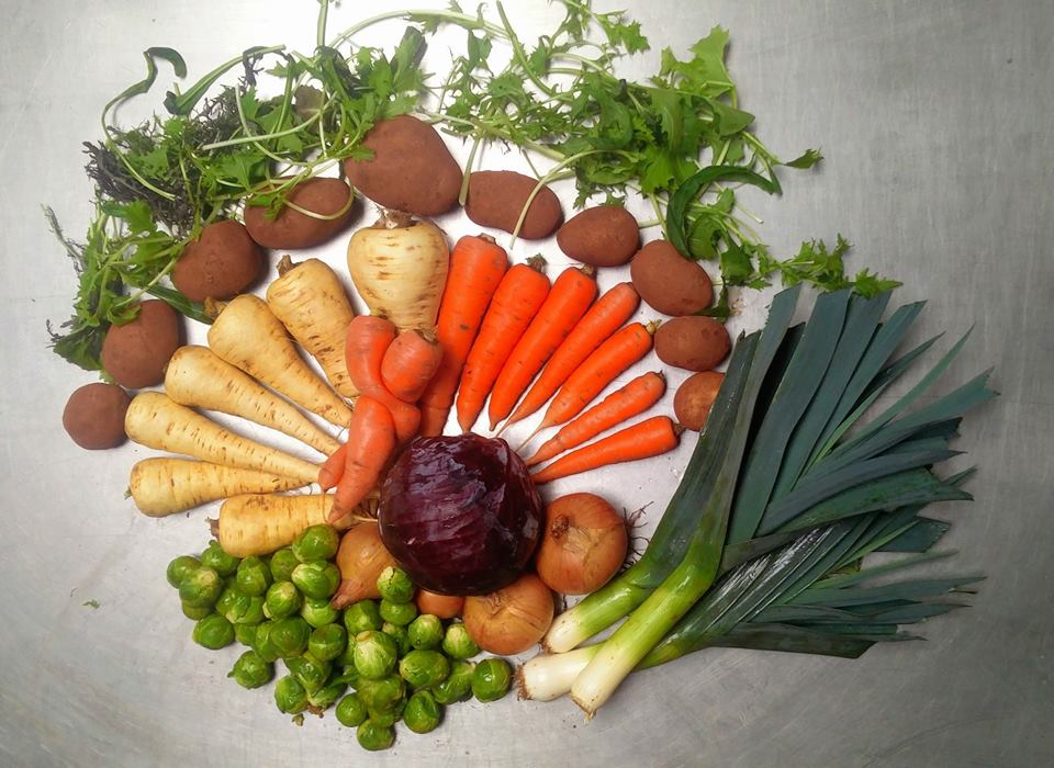 BDLandTrust's tweet photo. Formidable! 
#France says at least half of all food bought by public sector must be #organic or #local 
UK - take note! 
https://t.co/jy3mL6UsNs https://t.co/jhPfuZY6KM