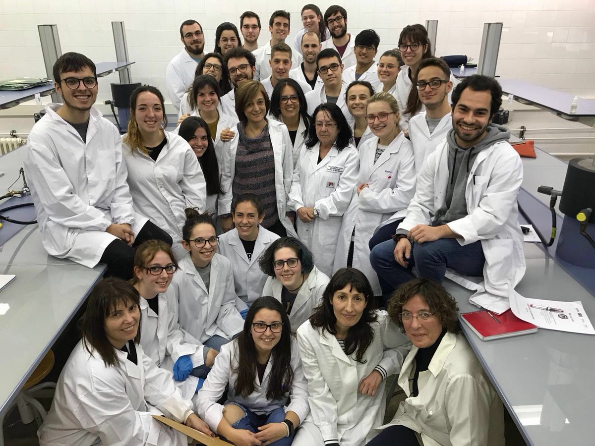 El 1er grup de SWITAs de la nostra 1a promoció, felicitats a tots!