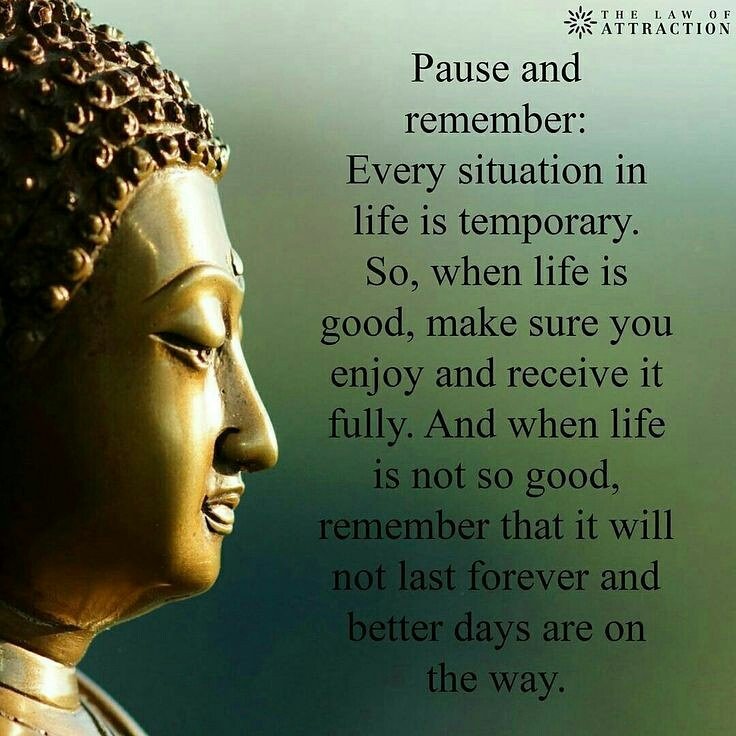 TrainerLou's tweet photo. Monday
  9:30 parent and child yoga
10:30 Yoga
  4:30 yoga 
  5:30 Rope Wall Yoga
  6:30 Hatha Yoga with Amanda
  7:30 kickboxing
  8:30 Yoga https://t.co/WnFObIq3kj