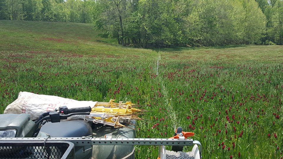 The Power of One Wire- Friday, 2/23 at 10:30 Temp. electric fence has revolutionized grazing mgmt giving producers ability to control cattle access to forages.Increases in pasture production may require renovation &amp; this doesn't always mean reseeding. nccattle.com/news-events/an…
