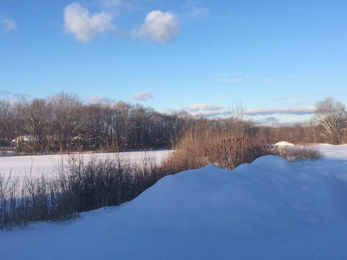 robkressfrx's tweet image. Embrace and celebrate monday. Its the start of a rocking week. #CelebrateMonday #puremichigan #exerciseoutside