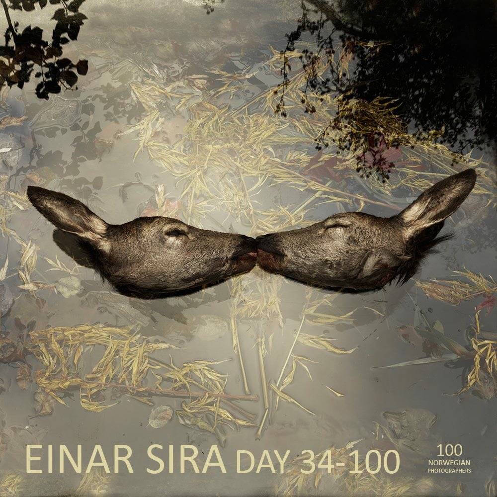 DAY 34-100 Presenting EINAR SIRA 'Post Vitam'
#100norwegianphotographers #100norphotographers #100norphoto #einarsira #postvitam