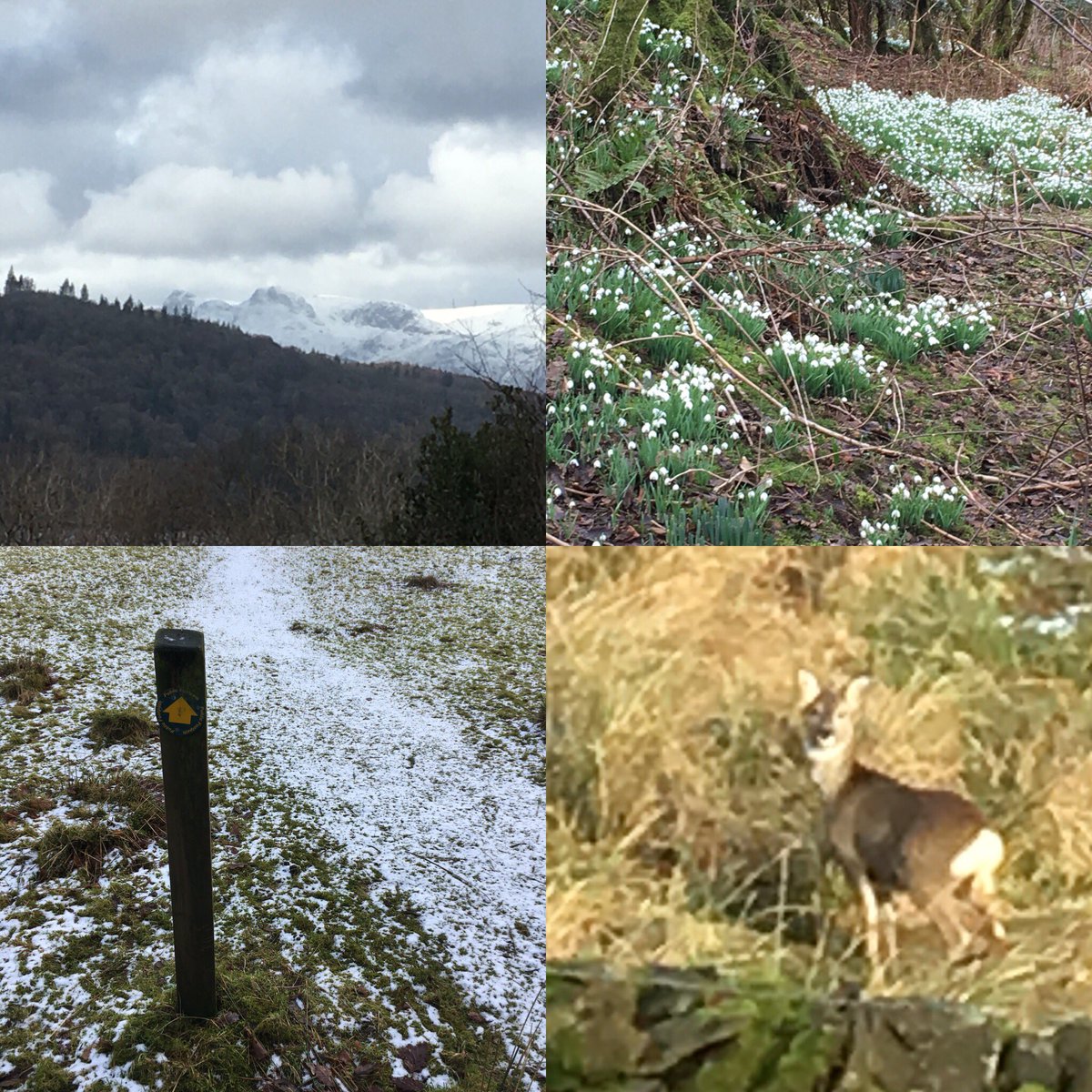Janpatmcfc's tweet photo. #getoutside Walking again in the #NotJustLakes 💙 https://t.co/uuEpSyEz45