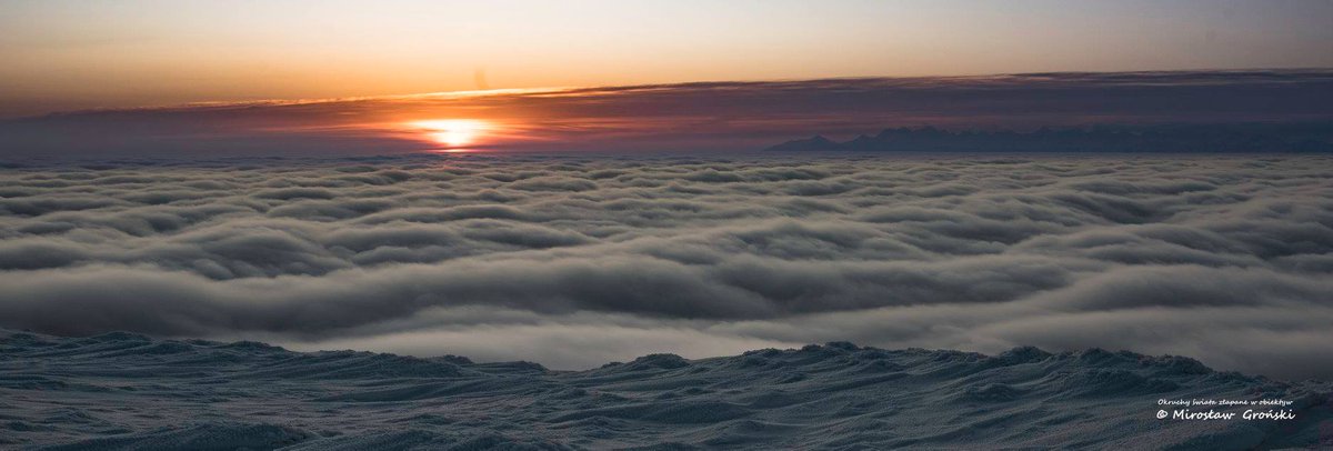 MeteoprognozaPL's tweet photo. Morze chmur, odległy ląd #Tatry widziany z wyspy Babia Góra. Wczorajszy wschód słońca. Fot. Mirosław Groński https://t.co/21pWw2V5wG