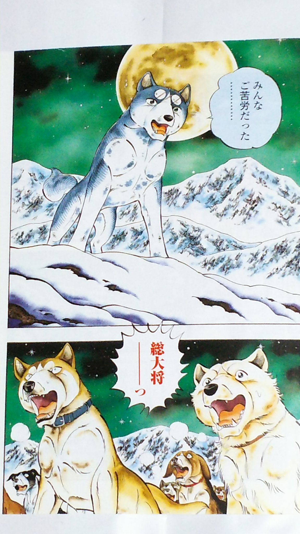 セル画 銀牙 ー流れ星銀ー 当時品