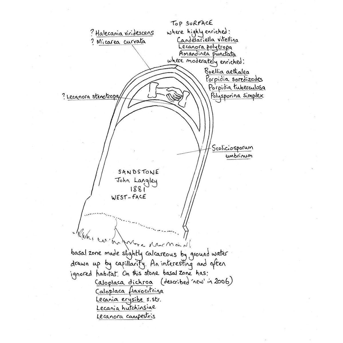 Mark Powell tweet media
