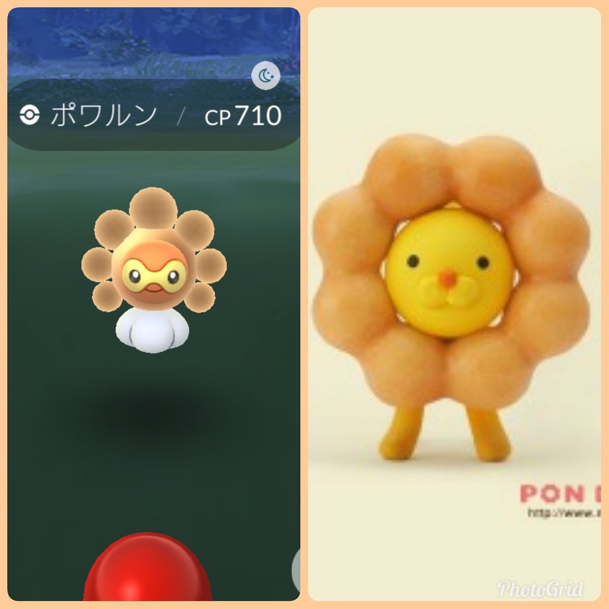 Twitter पर せいみや ポワルン たいようのすがた ゲット 何かに似てるなぁと思ったら ミスドのポンデリングだ ポケモンgo