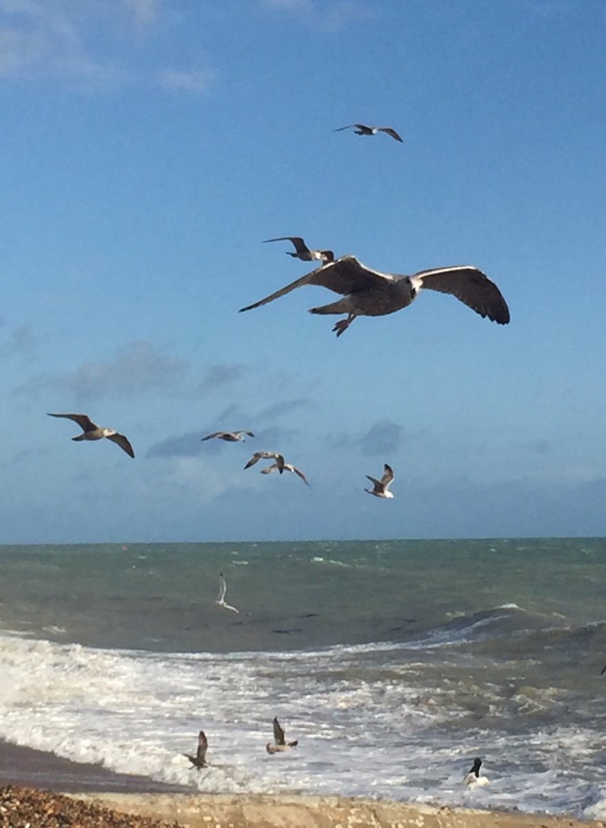 nikibayard's tweet photo. Tides are High https://t.co/vU18VZne9s https://t.co/3AUx2m1Acv