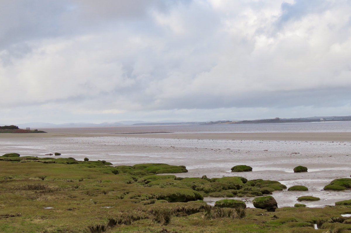 oldcrofthouse's tweet photo. One of the highlights of #kirkbystephen Visit Eden is #walking by the the river so travelled from source to mouth of the #rivereden #blackfellmoss #hellgillforce to #burghbysands #cumbria #solwaycoast #solwayfirth #riverwalks #explore #nature https://t.co/6c4xtZFaf1