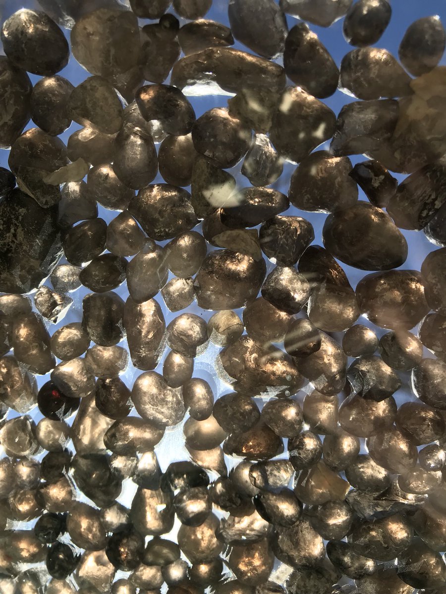 GemHeads's tweet photo. Apache Tears look so Lovely in the sunshine ☀️ https://t.co/PKeW6fIJiT
