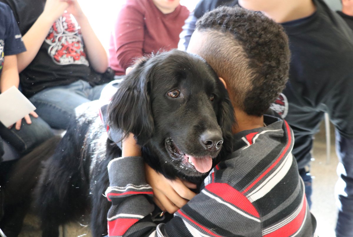 This morning, Milford HS teacher Trena Panko and her students were <a href="/4PawsForAbility/">4 Paws For Ability</a> in Xenia to meet Buffy, their new Autism Assistance Facility Dog. Buffy &amp; Mrs. Panko will be training for 10 more days in Xenia before Buffy makes her way back home to Milford! #MilfordSoars