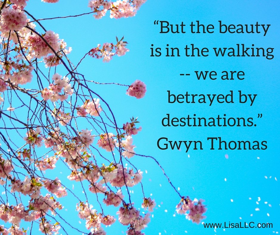 Lisa Gillispie (@lisagillispie) on Twitter photo 