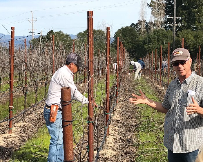 martinraywinery's tweet photo. Pruning season is here! #Vineyard manager #JimPratt, one of Sonoma’s most experienced growers tends to our #TowerBlock ensuring another successful vintage of our #estatepinotnoir #clone37, teaching a pruning class along the way. #vinebalance #russianriver https://t.co/01DHnDFe1H