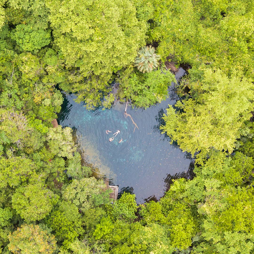 PUNTACANARESORT's tweet image. Swim in one of the Grupo Puntacana Foundation's 12 crystal-clear lagoons! Walking trails wind through the prehistoric foliage of the #OjosIndígenas Ecological Park &amp;amp; Reserve and lead to crisp freshwater springs, a welcome respite from the #Caribbean heat puntacana.org.