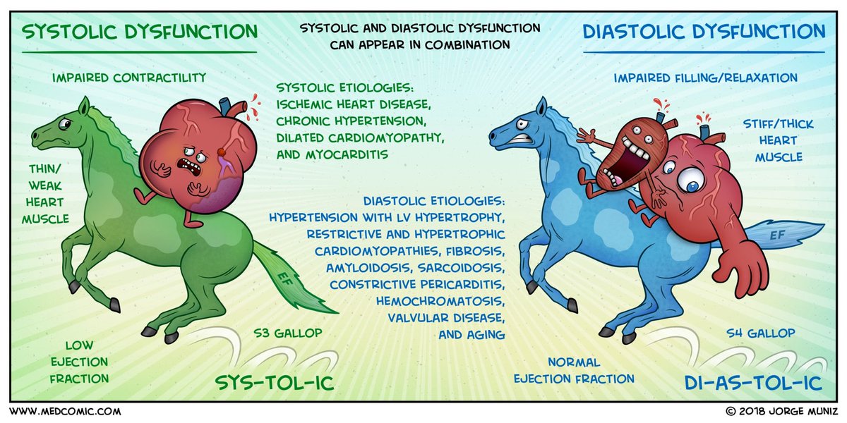Edgar V. Lerma 🇵🇭 on Twitter "Systolic vs Diastolic