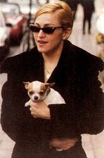Madonna used to have 3 chihuahuas: Rosita, Evita and Chiquita. She donated all of them to an institution, she later found out one of them died due to mistreatment, she got furious and relocated the other 2