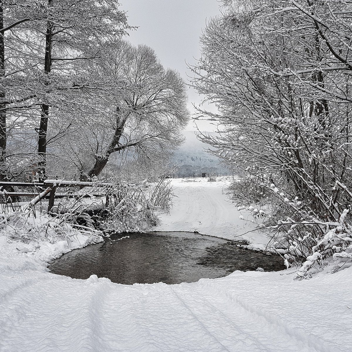 Walking in a Winter Wonder Land