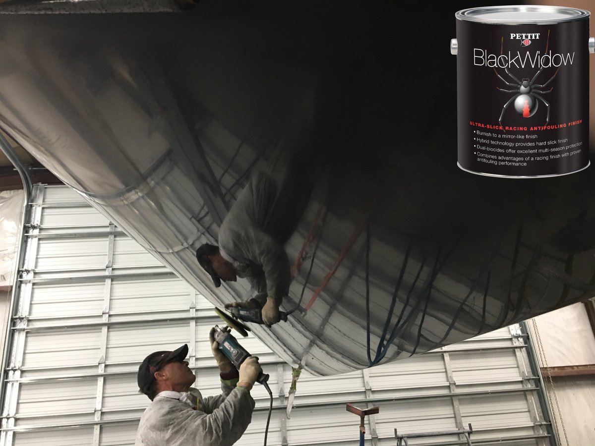 Black Widow Sailing Anarchy Sailing Anarchy Forums