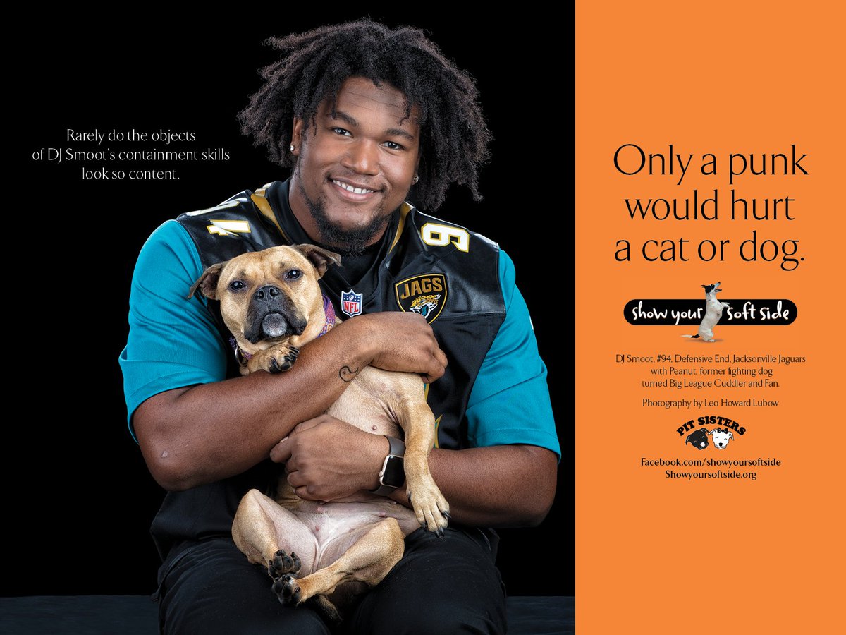 SoftSide1's tweet photo. Rarely do the objects of @Bigsmoot_94's containment skills look so content. @Jaguars @PitSisters #duuuval #OntarioRescueDogs https://t.co/ucIVXg04aJ