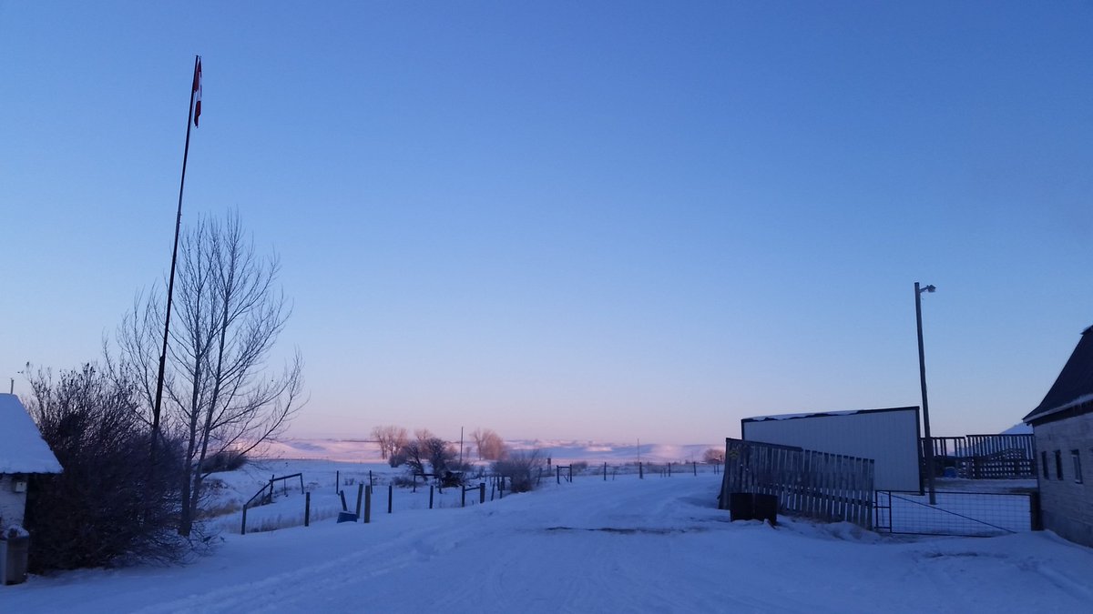 DwaneMorvik's tweet photo. Enough of the frosty mornings. Bring on some spring. https://t.co/dLRnO7S3fe