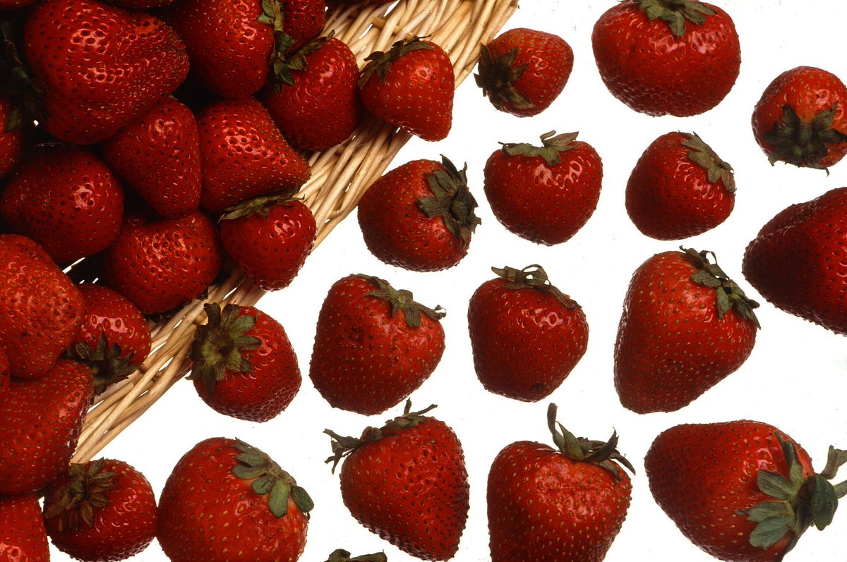 GigaScience's tweet image. Strawberry genomes forever. New paper: Single-molecule #sequencing and #opticalmapping yields an improved genome of woodland strawberry (Fragaria vesca) with chromosome-scale contiguity doi.org/10.1093/gigasc… Data in GigaDB: dx.doi.org/10.5524/100372