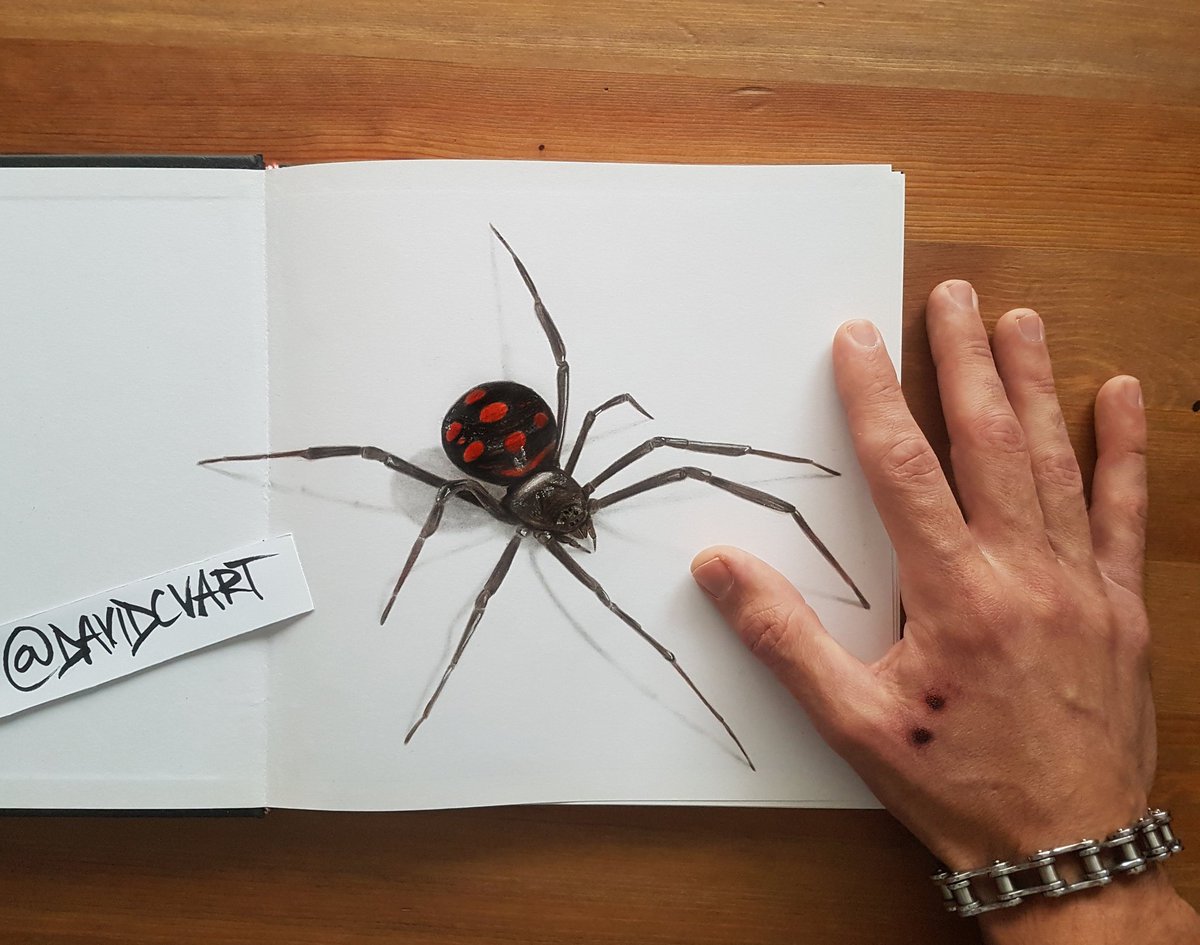 davidcvart's tweet photo. La normalidad es una ilusión, lo que es normal para la araña es un caos para la mosca
#drawing3d #drawing #draw #pencil #pencilcolor #fabercastell https://t.co/DWqSYgL4uX