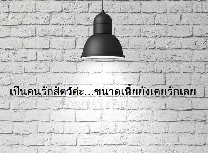 AuntieGenX's tweet photo. ใกล้ถึงวันแห่งความรักแล้วนะคะ
ป้าแฮ็ปปี้ดีค่ะ...หึหึ https://t.co/vH7bsAq750