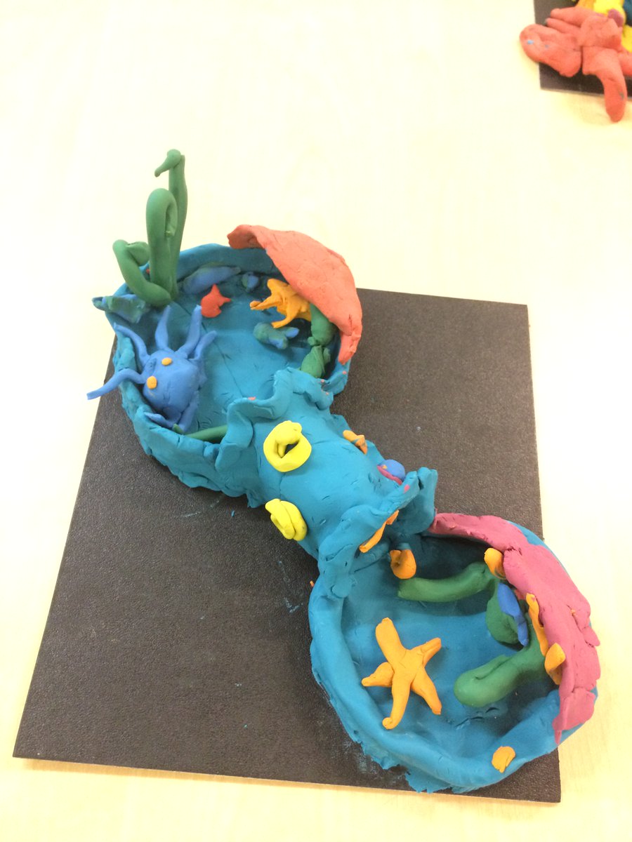 The Wessex Portal tweet media