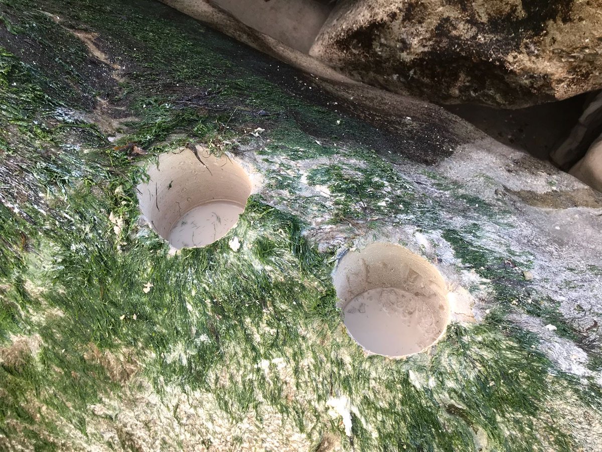 The Wessex Portal tweet media