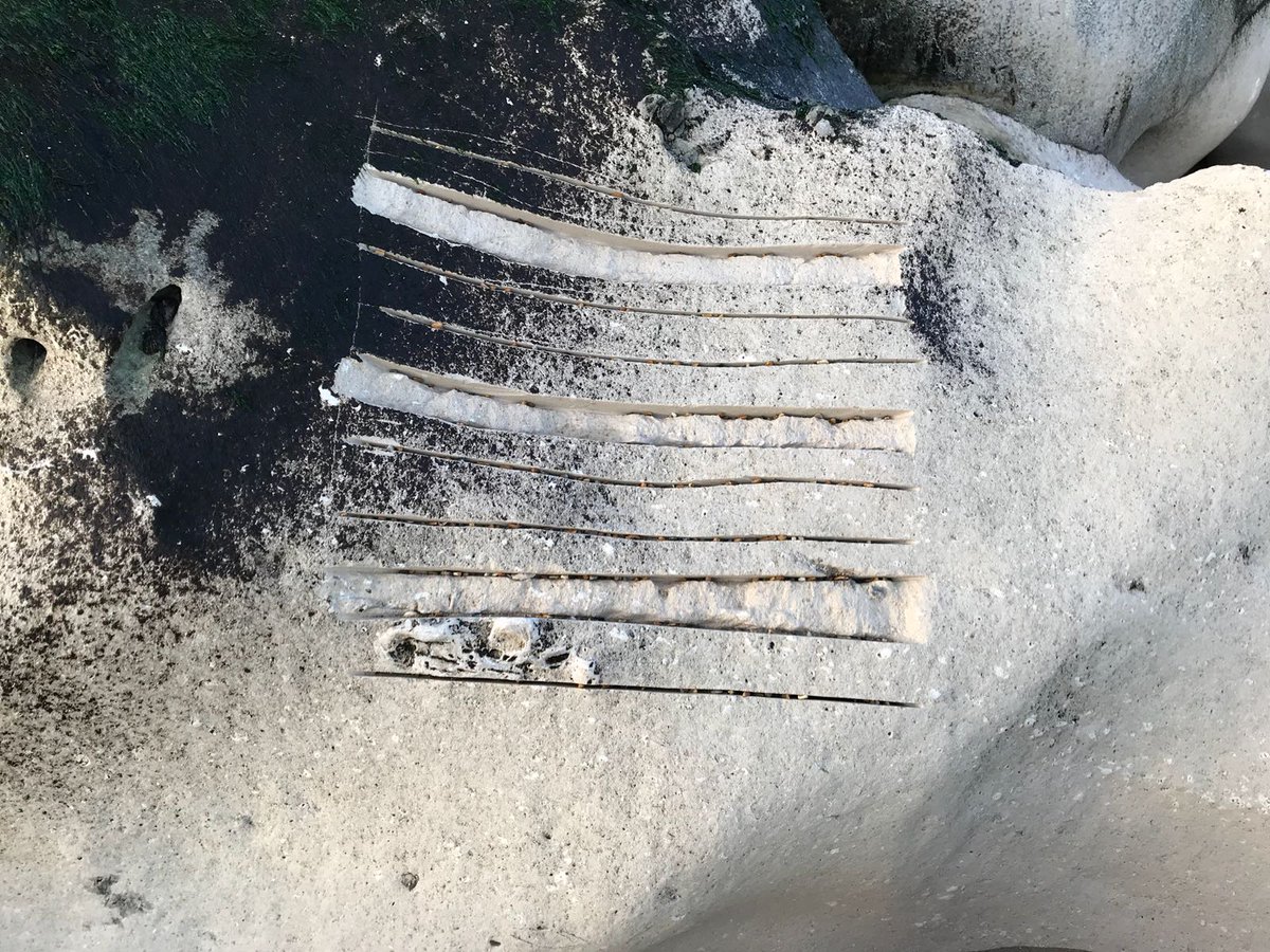 The Wessex Portal tweet media