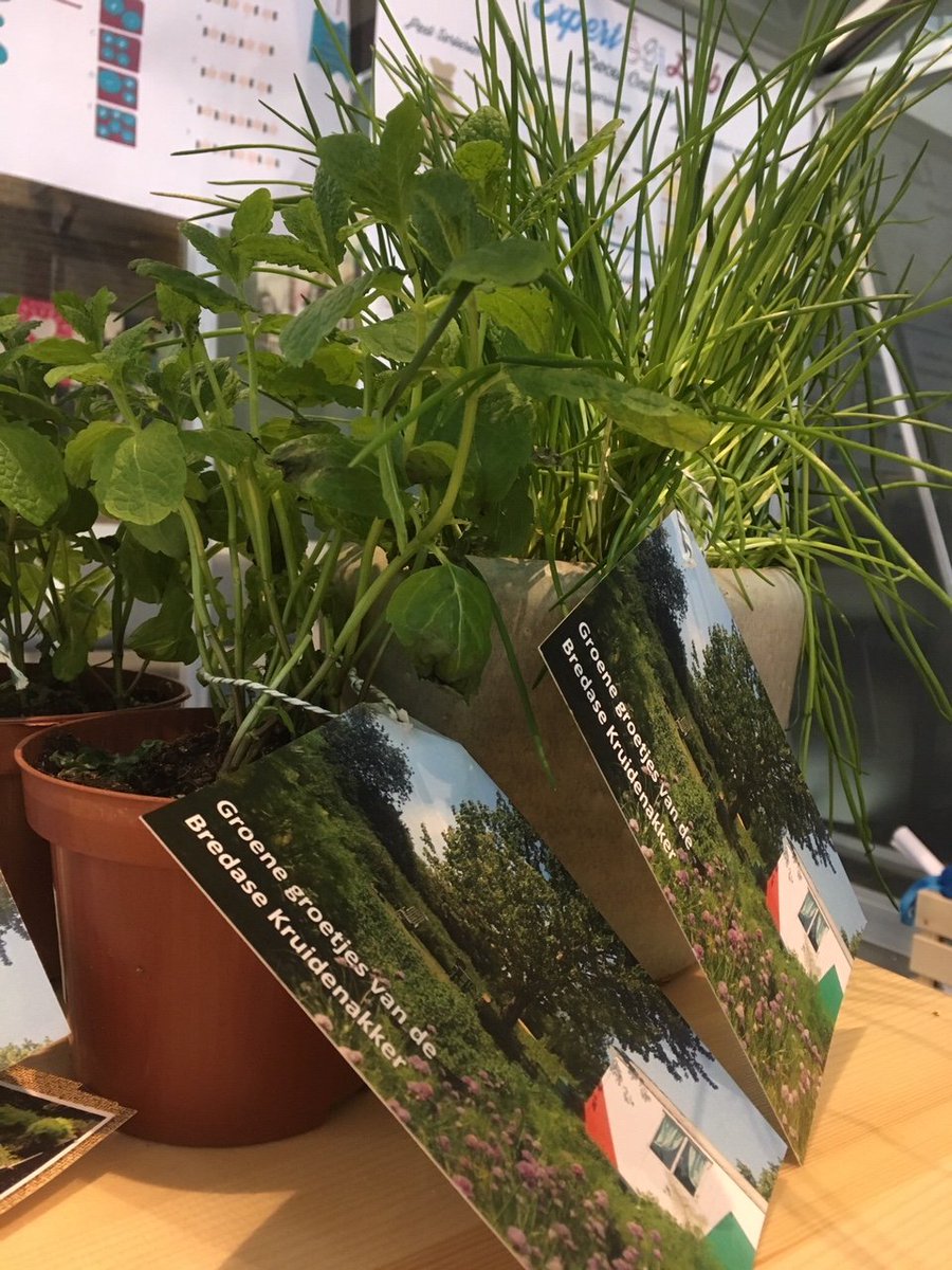 Zo leuk die vraag van @EllendeBonth om  kruiden te leveren in de pop-up vergader kas van het stadskantoor #Breda. Zie ze stralen...