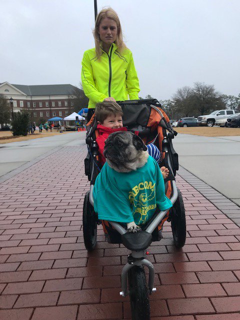 uncwenglish's tweet photo. @UNCW_CAS 5K! #keepmortonweird #TeamEnglish #UNCW #UNCWEnglish #itsgotime #UNCW70 #UNCWhomecoming #sammychawk https://t.co/Uun1esoM9a