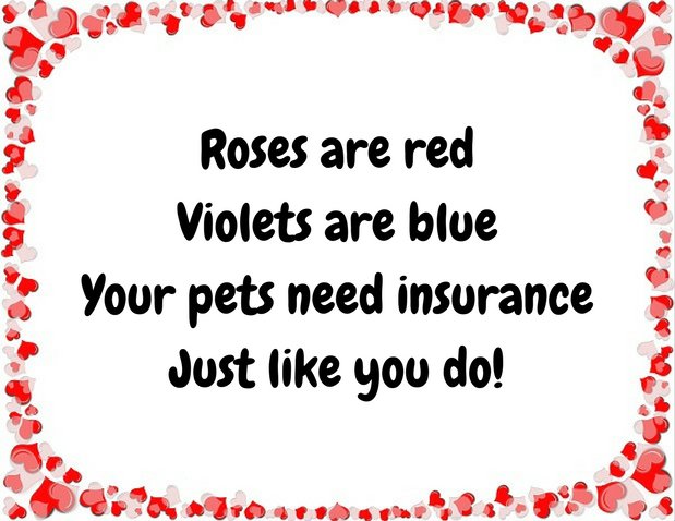 mcthomasinsurance.com/auto-home-and-…