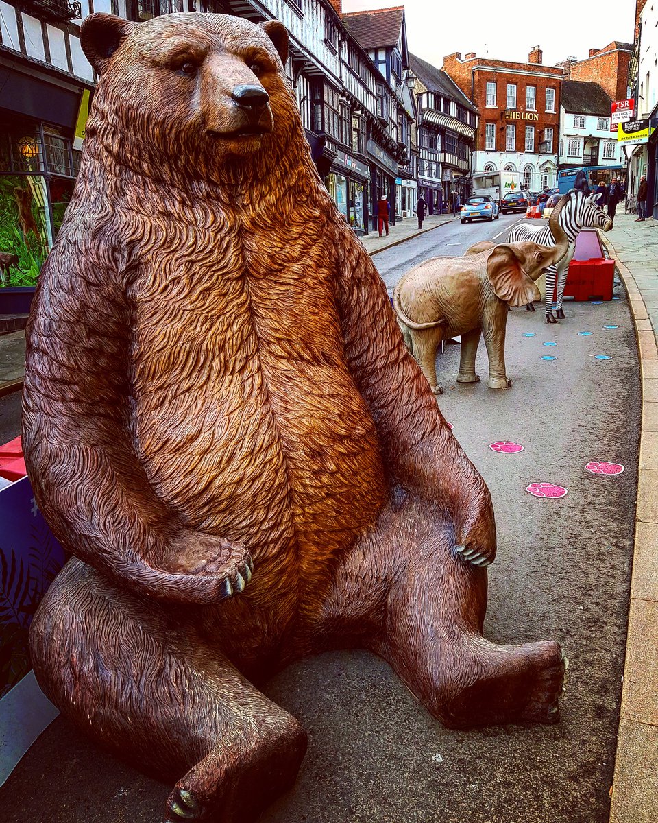 culbert_staci's tweet image. #wildcop #shrewsbury #shropshire