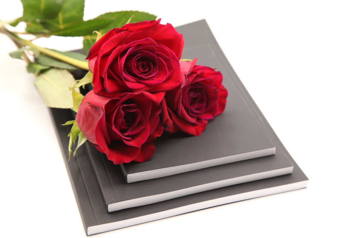 TofDCalendar's tweet photo. Valentines week is here and love is in the air! ❤️
We want to help spread the love by offering our original pencil drawings at 25% off! 
Head to our website and use code at checkout: VALENTINE! 
#valentinesday #valentines #gift #sale #february #notebook #journal #planner #paper https://t.co/iWDshGh6aa