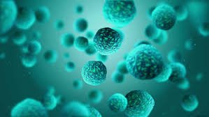 Journal_AJCPR's tweet photo. Pathology #Article #submissions #open for #Clinical #Pathology #Research https://t.co/NAsiNIfp2R https://t.co/77dCXn0ueb