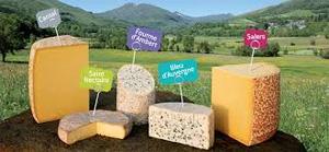 FanAuvergne's tweet photo. [Agenda] Jeudi 15 février, la super équipe de @FromagesAOPAuv présente l'édition Glisse and Fromages 2018 au Fan Store Espace Renan https://t.co/cnc03ZWw2c https://t.co/DRpuS7hKND