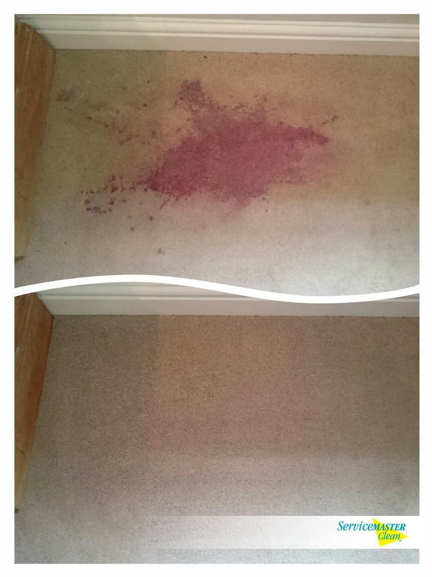 SMC_Belfast's tweet photo. Carpet stain? Say no more! #mondaymotivation https://t.co/wz7C9KiS0W