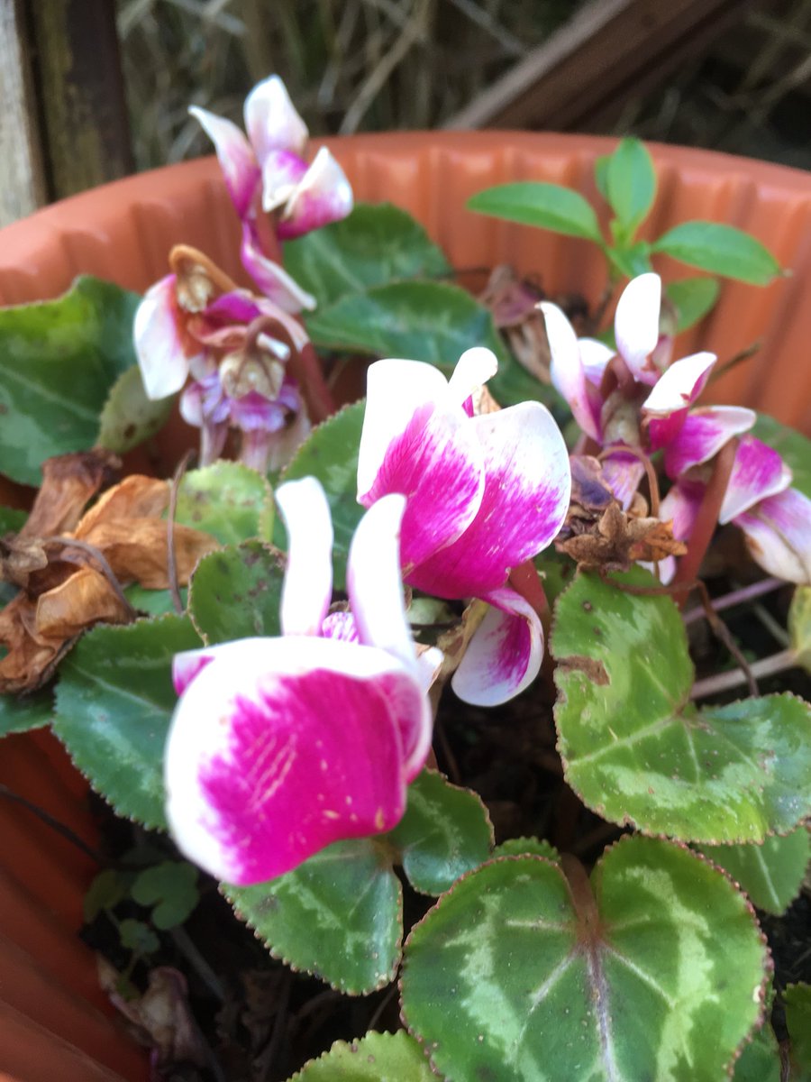 JPEGdesignprint's tweet photo. C’mon, you can do it!!! #rollonspringtime https://t.co/BHDTdSM5Na
