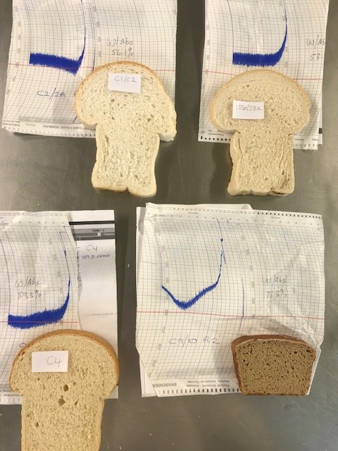 CalibrePaul's tweet photo. Great to present @UniofReading for the @AgriFoodATP Wheat &amp; Milling course. Bringing tech to Flour @MillingandGrain how to Mill best product for bakers @CCellColour range of 9k-4k cells in a slice @calibrecontrol #flouranalysis #crumbstructure @BSBuk @UniRdg_FNS @ChopinTech https://t.co/ta4Zxvu6av