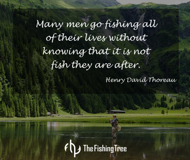 The Fishing Tree on X: #quotes #quotestoliveby #quotesoftheday