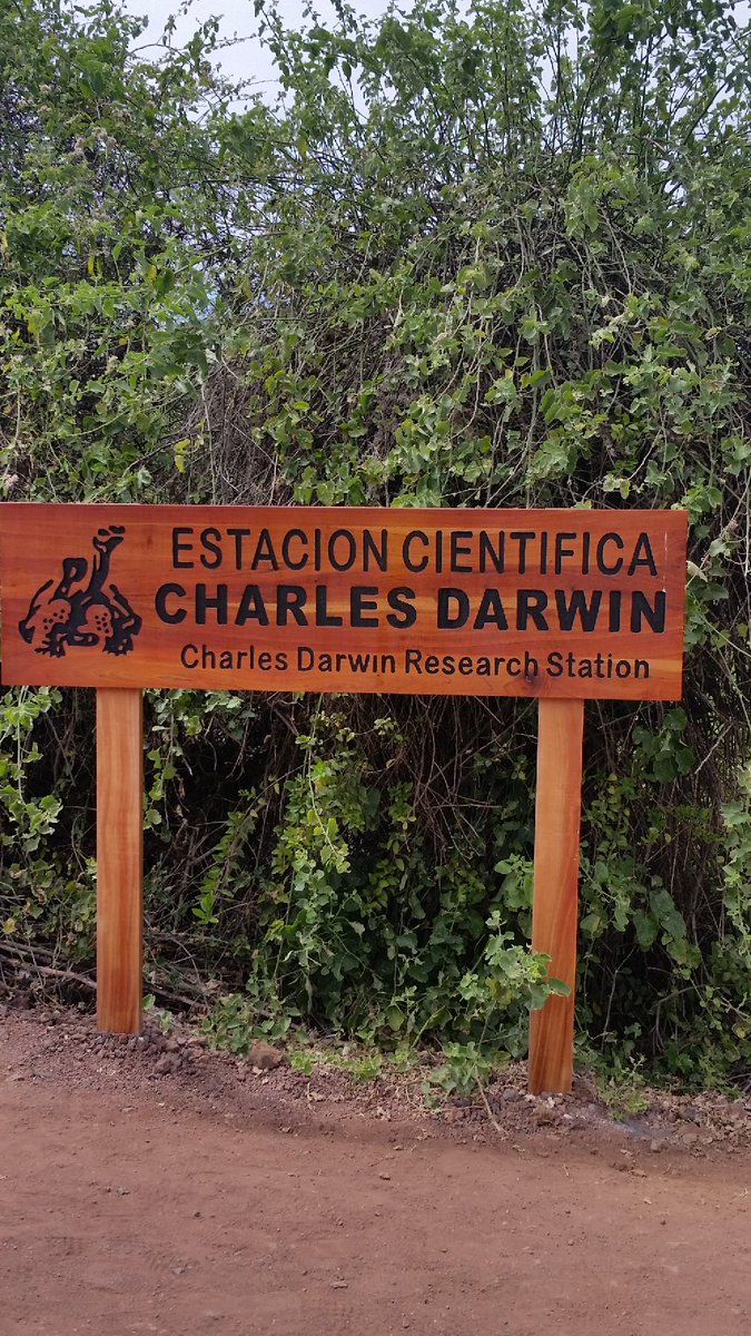 STEMatKVEC's tweet photo. Like to be back there again!  Happy Darwin Day! https://t.co/orpYdytghM